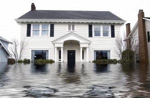 Flood Insurance Policy (PRP)